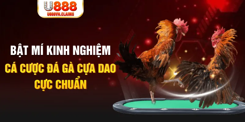 f8bet80 casino hồ tràm có cho người việt vào không