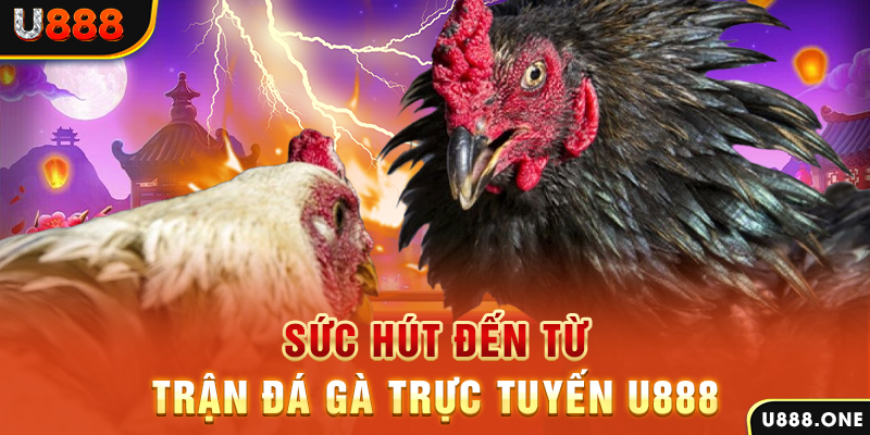 f8bet80 đăng nhập poker 2024