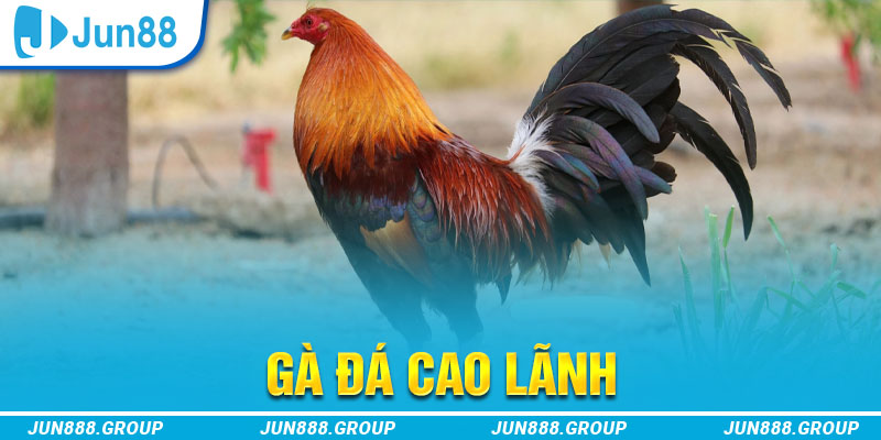 f8bet80 tai game vua bai ve may tinh