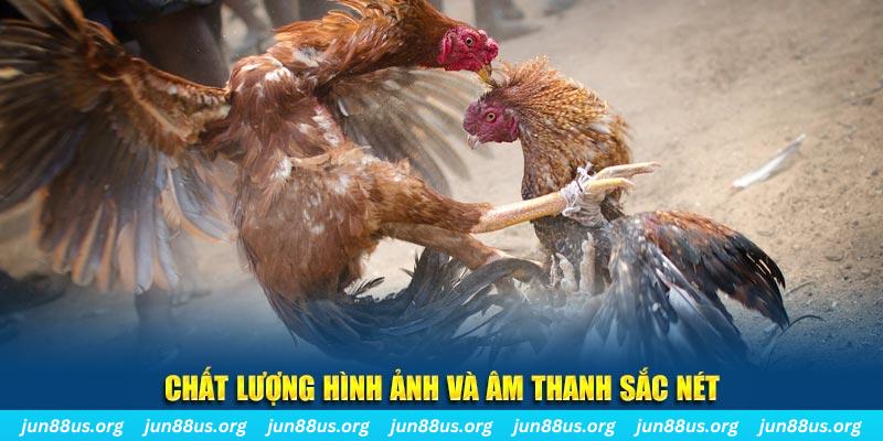 f8bet80 tai game danh bai mien phi ve may tinh