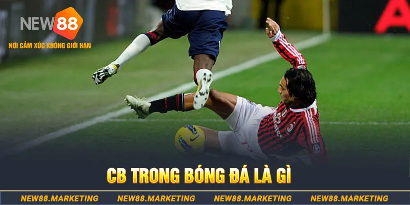 f8bet80 DG Trực Tuyến