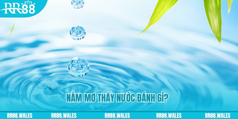 f8bet80 xổ số trực tiếp miền bắc