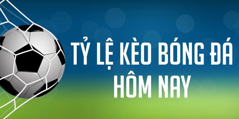 f8bet80 đăng nhập phỏm