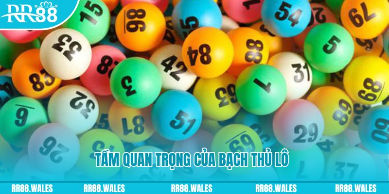 f8bet80 đăng nhập sòng bạc live