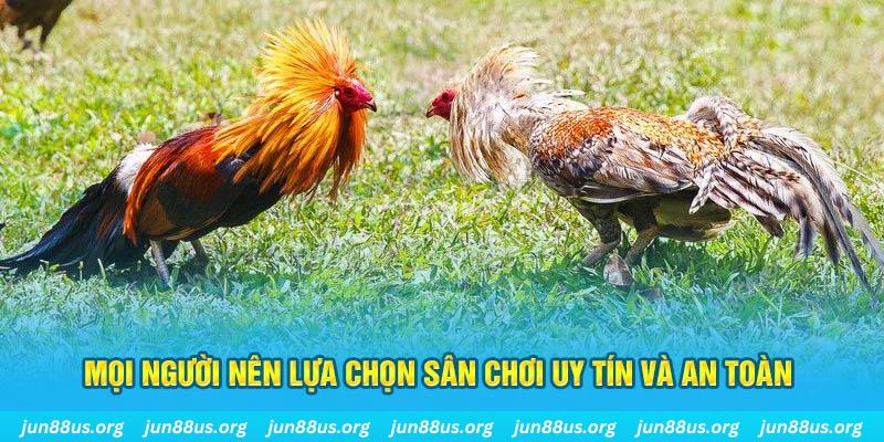 f8bet80 đăng nhập poker 2025