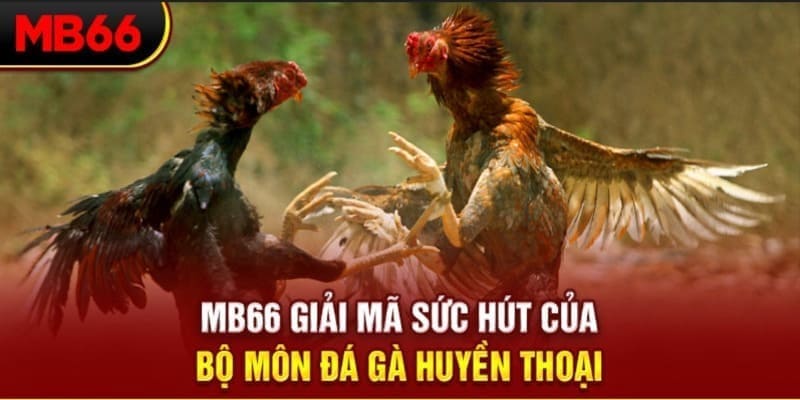 f8bet80 xổ số đài bắc