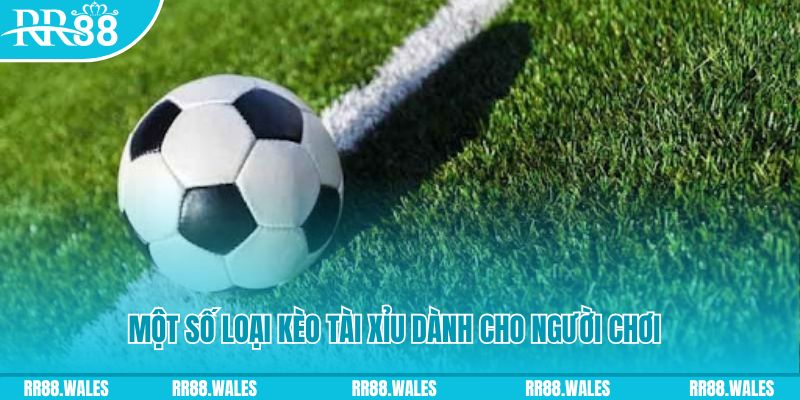 f8bet80 slot nghĩa là gì