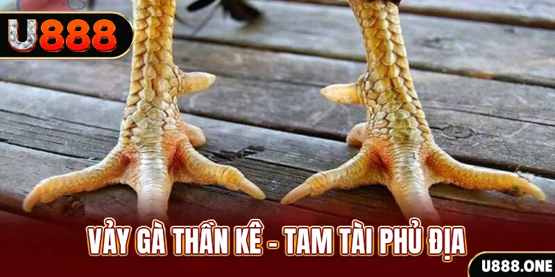 f8bet80 so xo mien trung