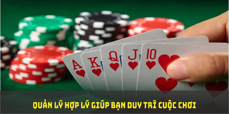 f8bet80 đá gà trực tiếp thomo 67