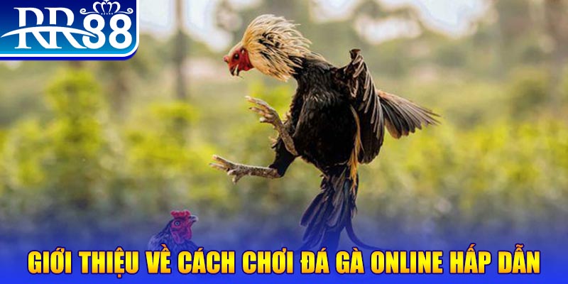 f8bet80 EvoPlay Điện Tử