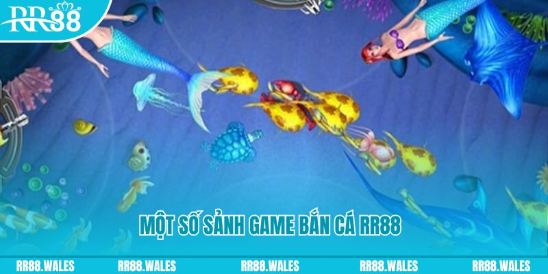 f8bet80 MT Trực Tuyến