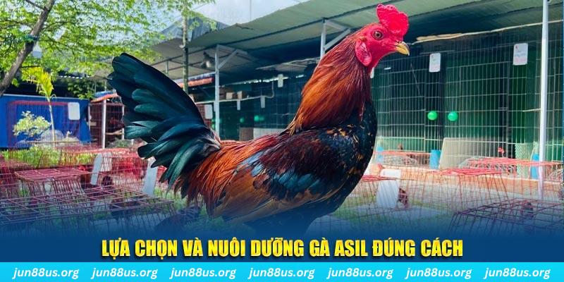 f8bet80 nổ hũ thần tài là gì