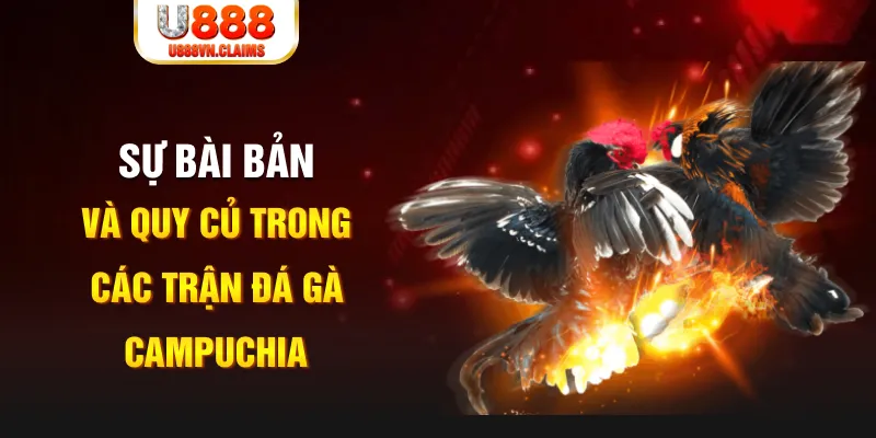 f8bet80 game xếp bài trên máy tính