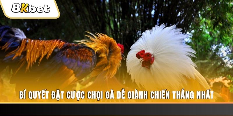 f8bet80 nổ hũ chơi như thế nào