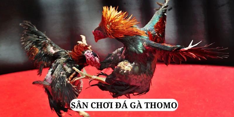 f8bet80 quay nổ hũ là gì